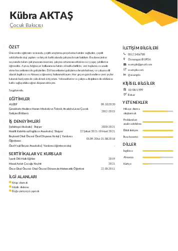 Çocuk Bakıcısı CV Örnekleri cv indir